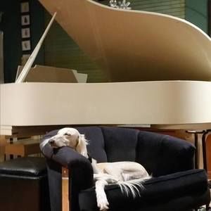 Meet your Posher, Donna